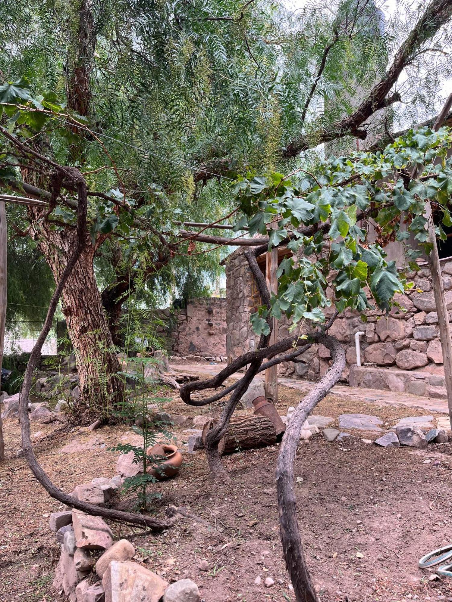 Villa San Silvestre - casa con patio y parrilla Tilcara Exterior foto
